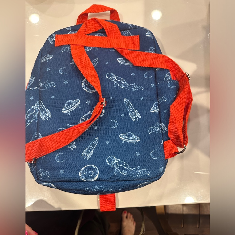 Planetbox lunch  Tote